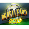 Brasileirão 2019 (SIMULADOR)