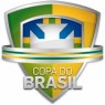 Copa do Brasil 2018 (Simulador)