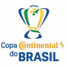 Copa do Brasil 2021 (Simulador)