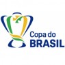 Copa do Brasil 2019 (SIMULADOR)