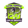 COPA DO SINDICATO DE FUTSAL FEMININO 2023