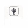 Copa Serie E 2017