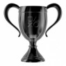 FASTCUP