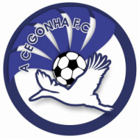 Team image