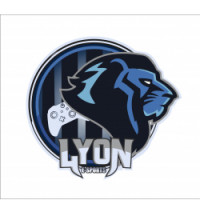 Team image