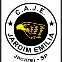 Team image