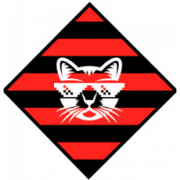 Team image