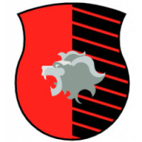 Team image