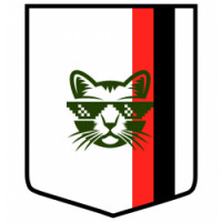 Team image