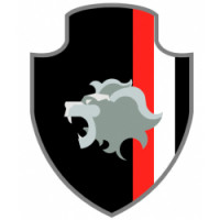 Team image
