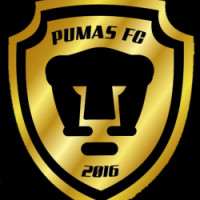Team image