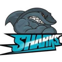 Team image