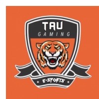 Team image