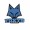 Foxys e-sports