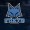 Foxys E-Sports