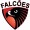 OLHOS DE FALCÃO
