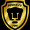 PUMAS DO VALE