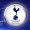 Tottenham fc