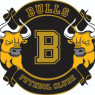 CFA BULLS (SUB 09)