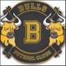 ESCOLA BULLS