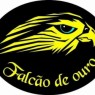 FALCÃO DE OURO