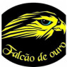 FALCÃO DE OURO