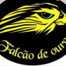 FALCÃO DE OURO
