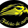 FALCÃO DE OURO