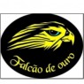 FALCÃO DE OURO