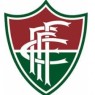 FLU DE FEIRA