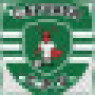 FORMIGÕES
