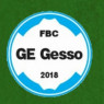 GE Gesso