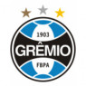 Grêmio FPA