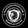 MENINOS DO VALE