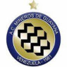 Mineiros de Guayana