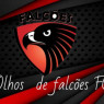 OLHOS DE FALCÃO