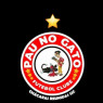 PAU NO GATO