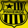 PINHEIROS