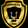 PUMAS DO VALE