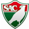 Salgueiro