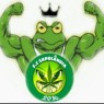 SAPOLANDIA