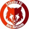 SCHALKE F.C