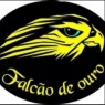 S.N FALCÃO DE OURO