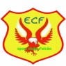 SPORT FALCÃO