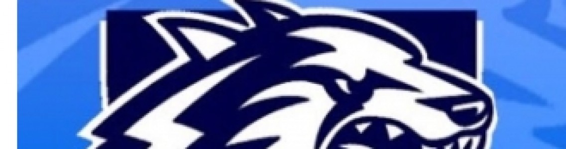 ACE Gaming e-Sports