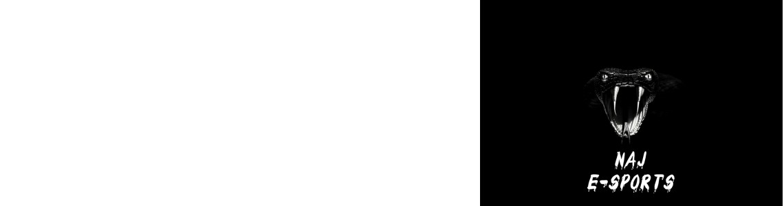 NAJ e-Sports