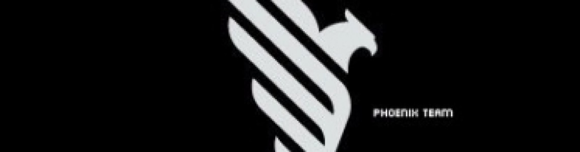 phoeniX TEAM