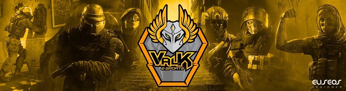 VALK Team e-sports